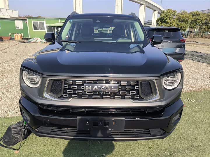 Фото 3 - Haval H-Dog