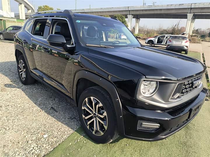 Фото 4 - Haval H-Dog