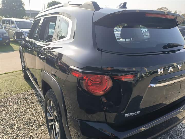 Фото 5 - Haval H-Dog