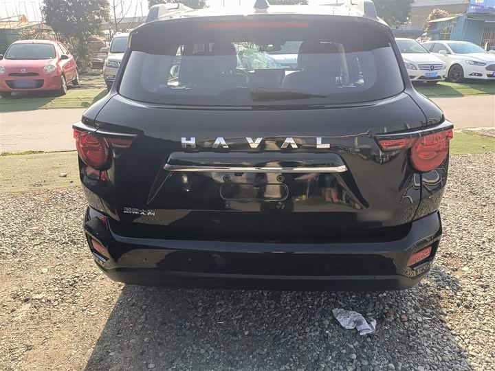 Фото 6 - Haval H-Dog