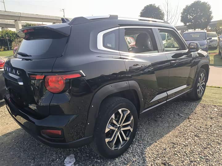 Фото 7 - Haval H-Dog