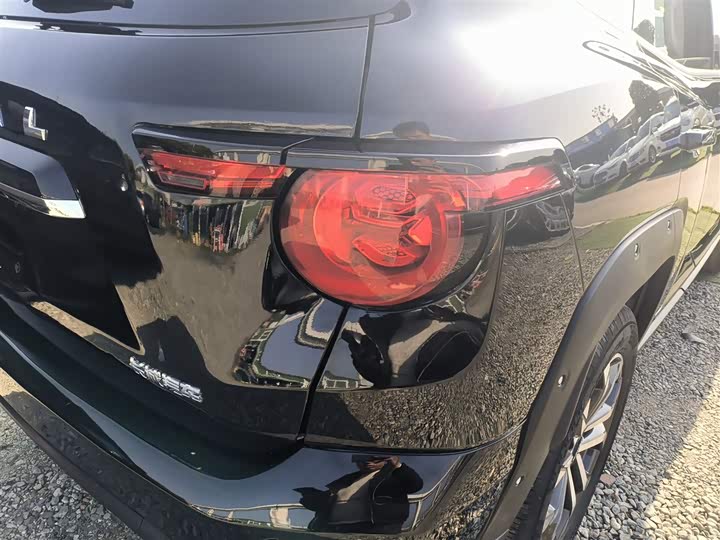 Фото 8 - Haval H-Dog