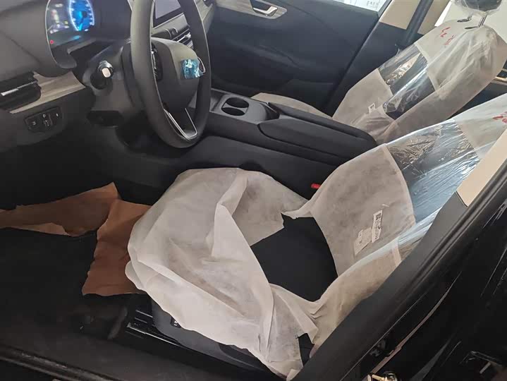 Фото 9 - Hongqi E-QM5