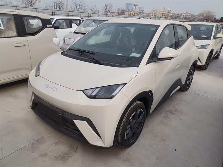 Фото 2 - BYD Seagull