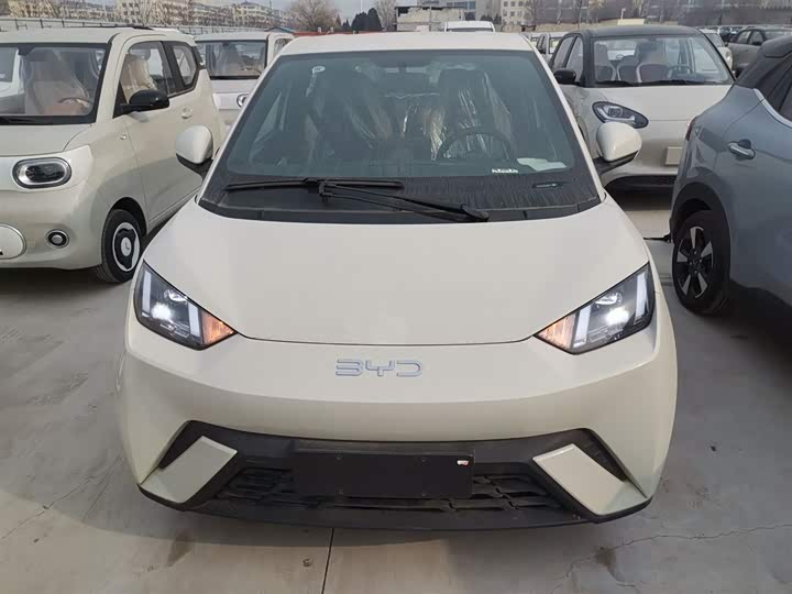 Фото 3 - BYD Seagull