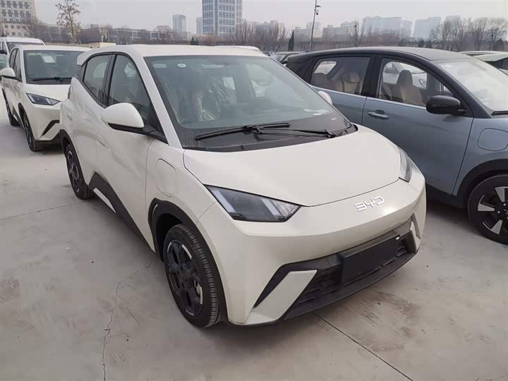 Фото 4 - BYD Seagull