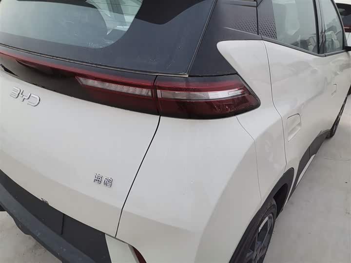 Фото 8 - BYD Seagull