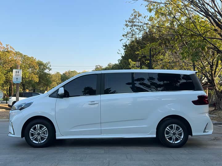 Фото 6 - Maxus G20