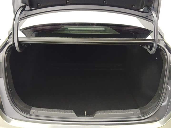 Фото 4 - GAC Trumpchi Empow R