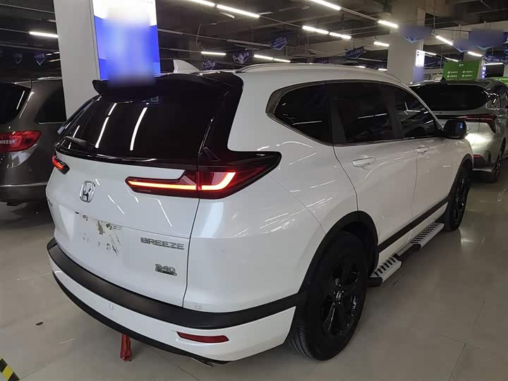 Фото 7 - Honda Breeze