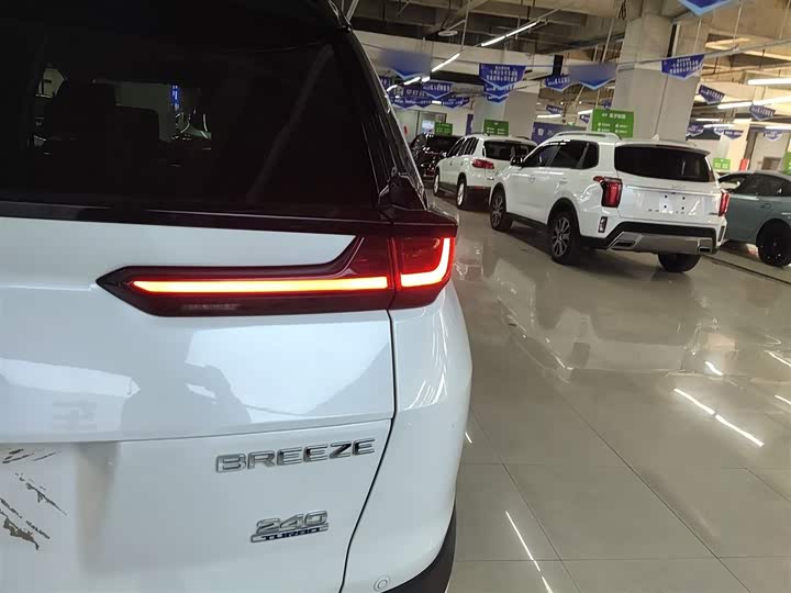 Фото 8 - Honda Breeze