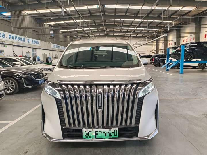 Фото 2 - Wey Gaoshan