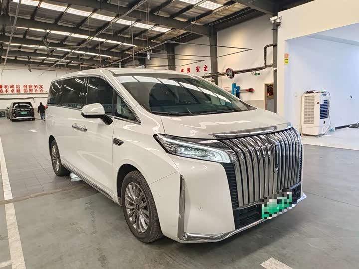 Фото 3 - Wey Gaoshan