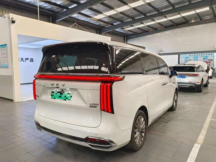 Фото 4 - Wey Gaoshan