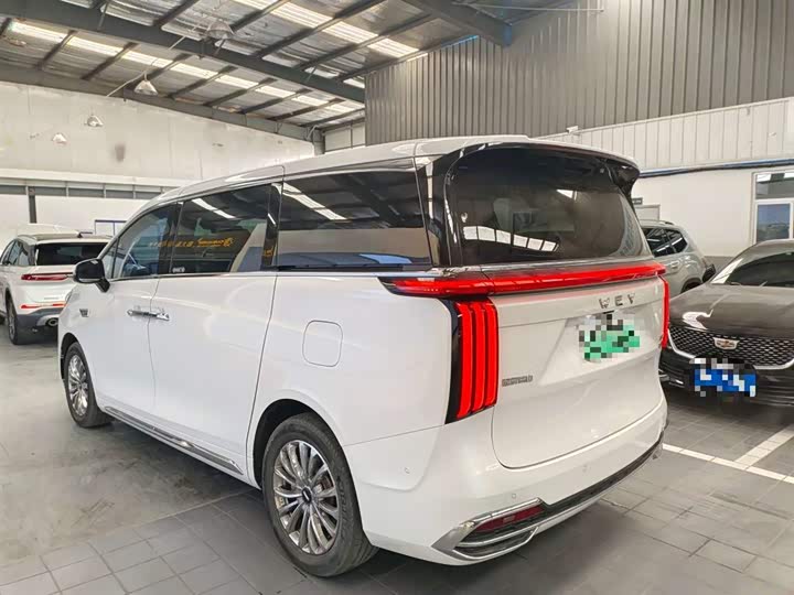 Фото 5 - Wey Gaoshan