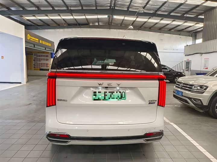 Фото 6 - Wey Gaoshan