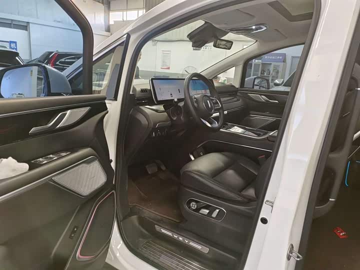 Фото 8 - Wey Gaoshan