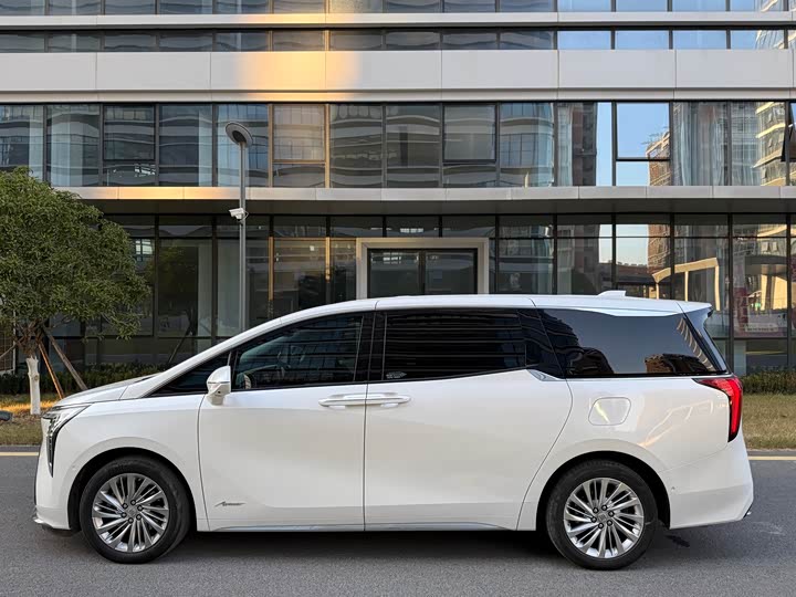 Фото 7 - Buick GL8 Century