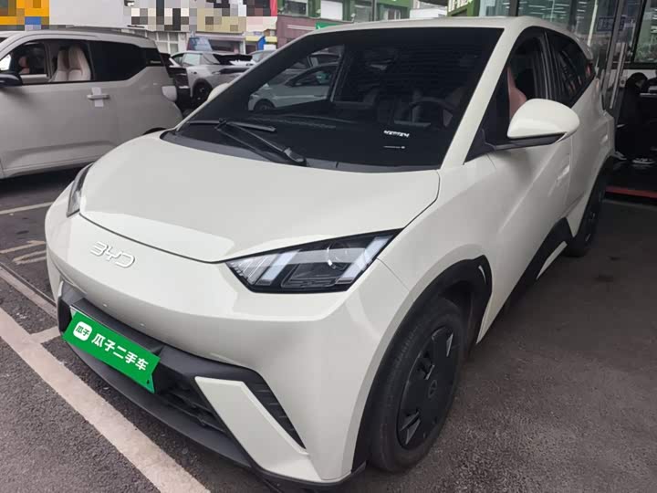 Фото 2 - BYD Seagull