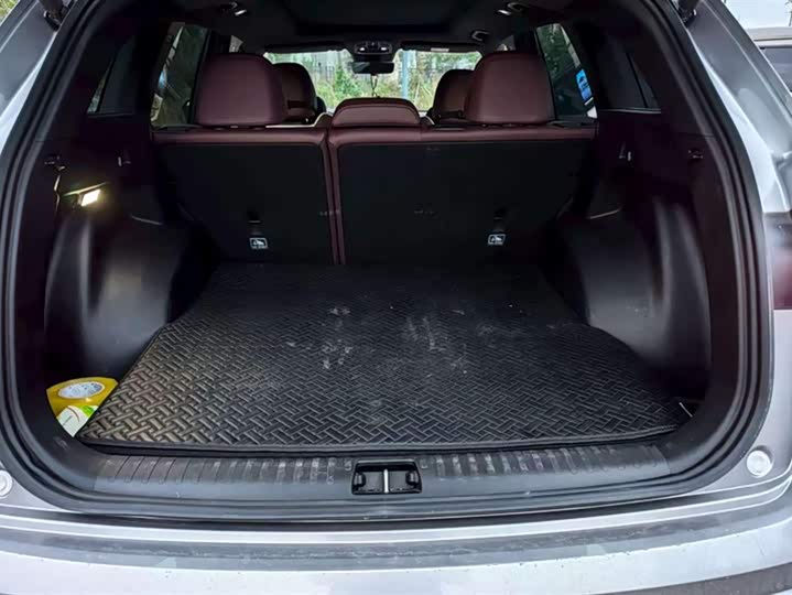 Фото 4 - Geely Monjaro