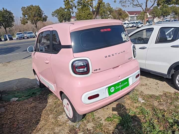 Фото 5 - Bestune Pony