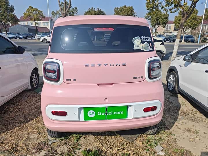 Фото 6 - Bestune Pony