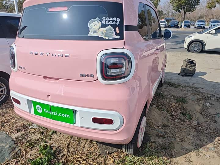 Фото 8 - Bestune Pony