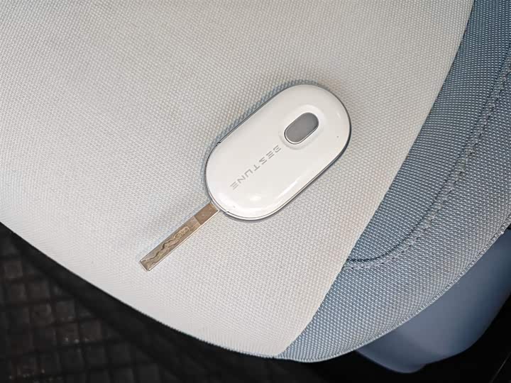 Фото 9 - Bestune Pony