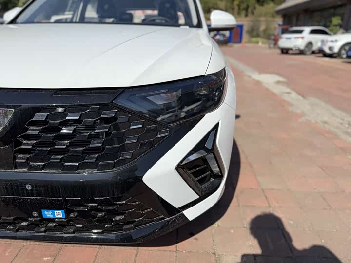 Фото 5 - Jetta VS5