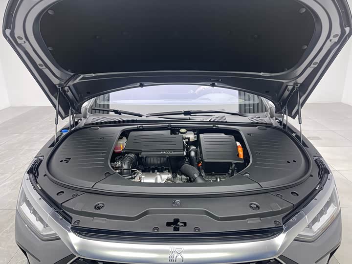 Фото 9 - BYD Han