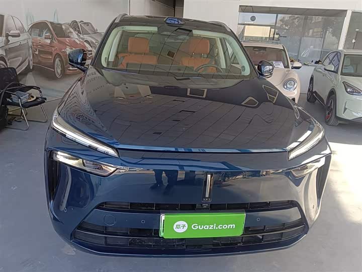 Фото 3 - Wey Lanshan