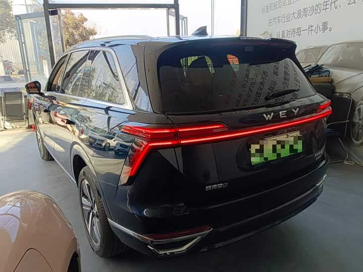 Фото 5 - Wey Lanshan