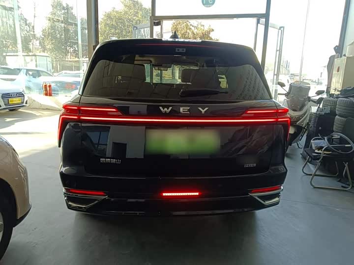 Фото 6 - Wey Lanshan