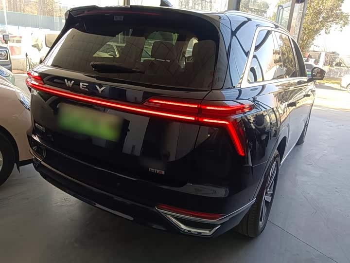 Фото 7 - Wey Lanshan