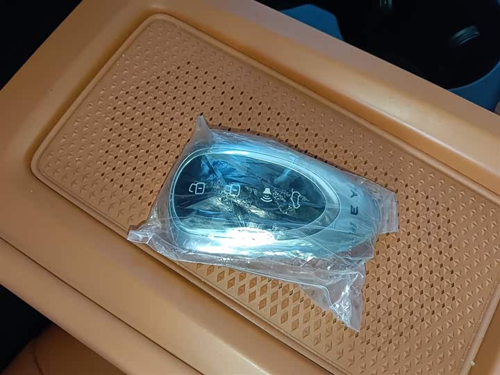 Фото 9 - Wey Lanshan