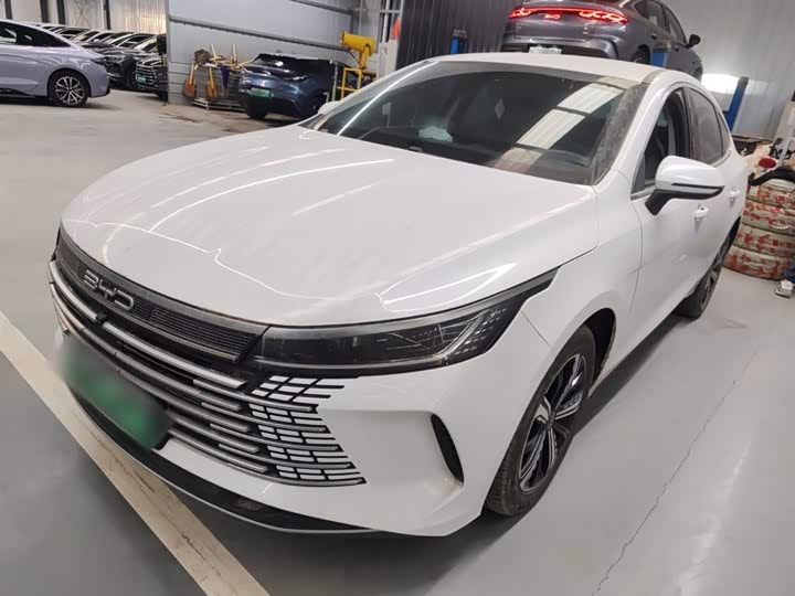 Фото 1 - BYD Destroyer 05