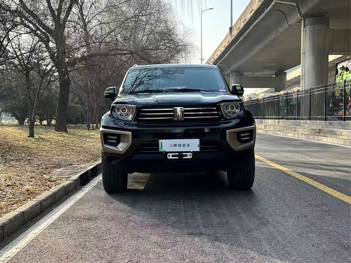 Фото 2 - Tank 700 Hybrid