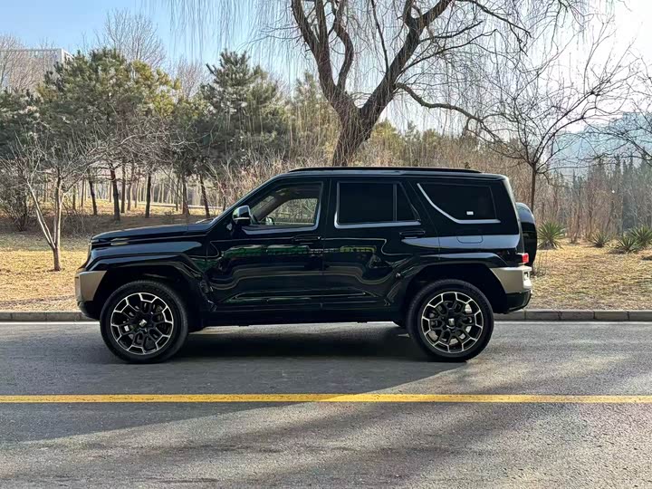 Фото 6 - Tank 700 Hybrid