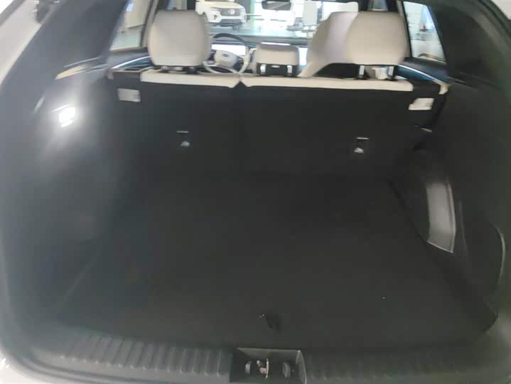 Фото 4 - Geely Galaxy L7