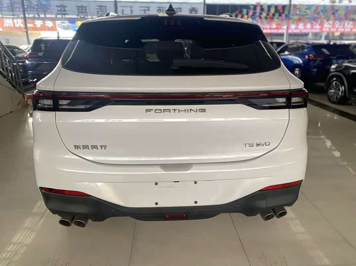 Фото 9 - Dongfeng Forthing T5 EVO