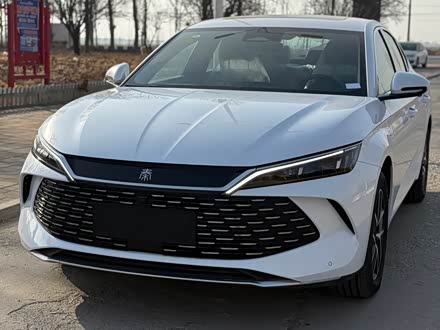 Фото 1 - BYD Qin L