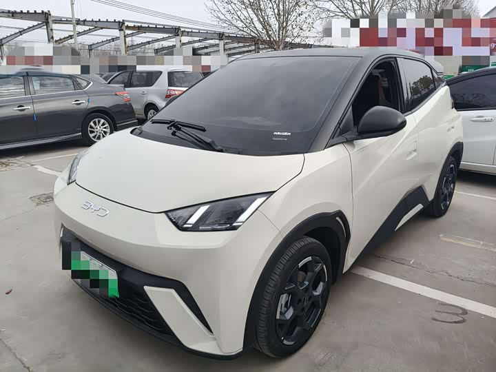 Фото 1 - BYD Seagull