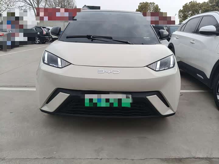 Фото 2 - BYD Seagull