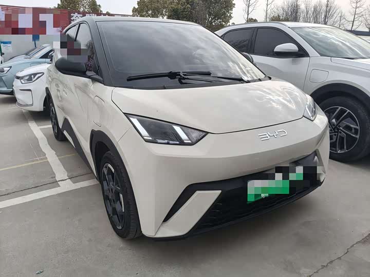 Фото 3 - BYD Seagull