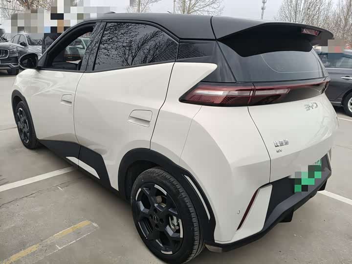 Фото 9 - BYD Seagull