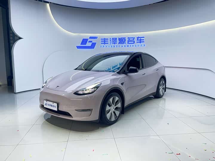 Фото 1 - Tesla Model Y