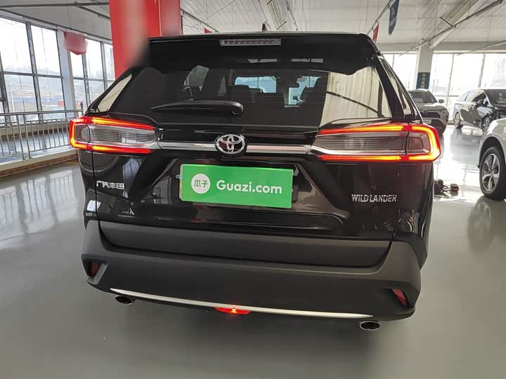 Фото 6 - Toyota Wildlander