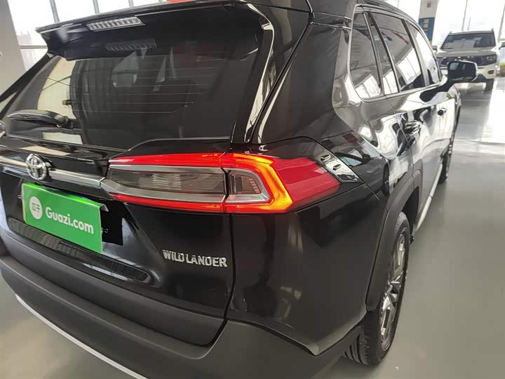 Фото 8 - Toyota Wildlander