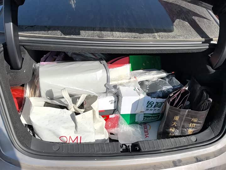 Фото 4 - BYD Han