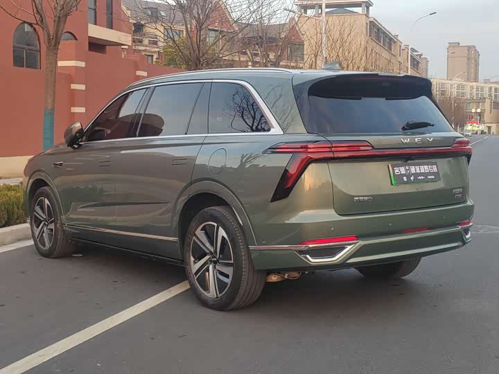 Фото 4 - Wey Lanshan